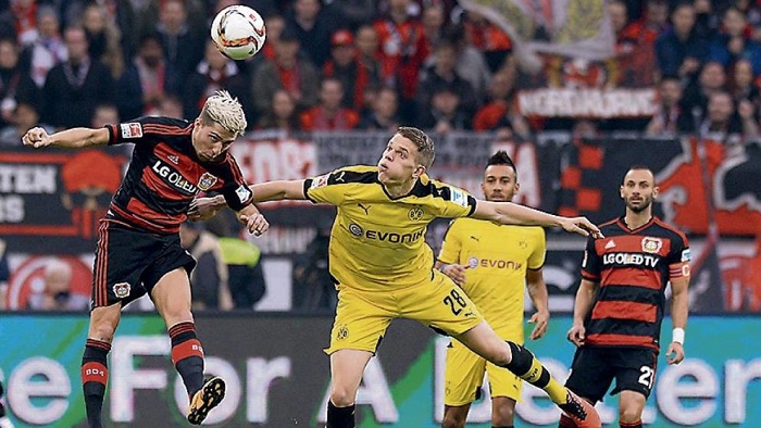 卡塔尔组织体系成熟（卡塔尔组织架构完善）